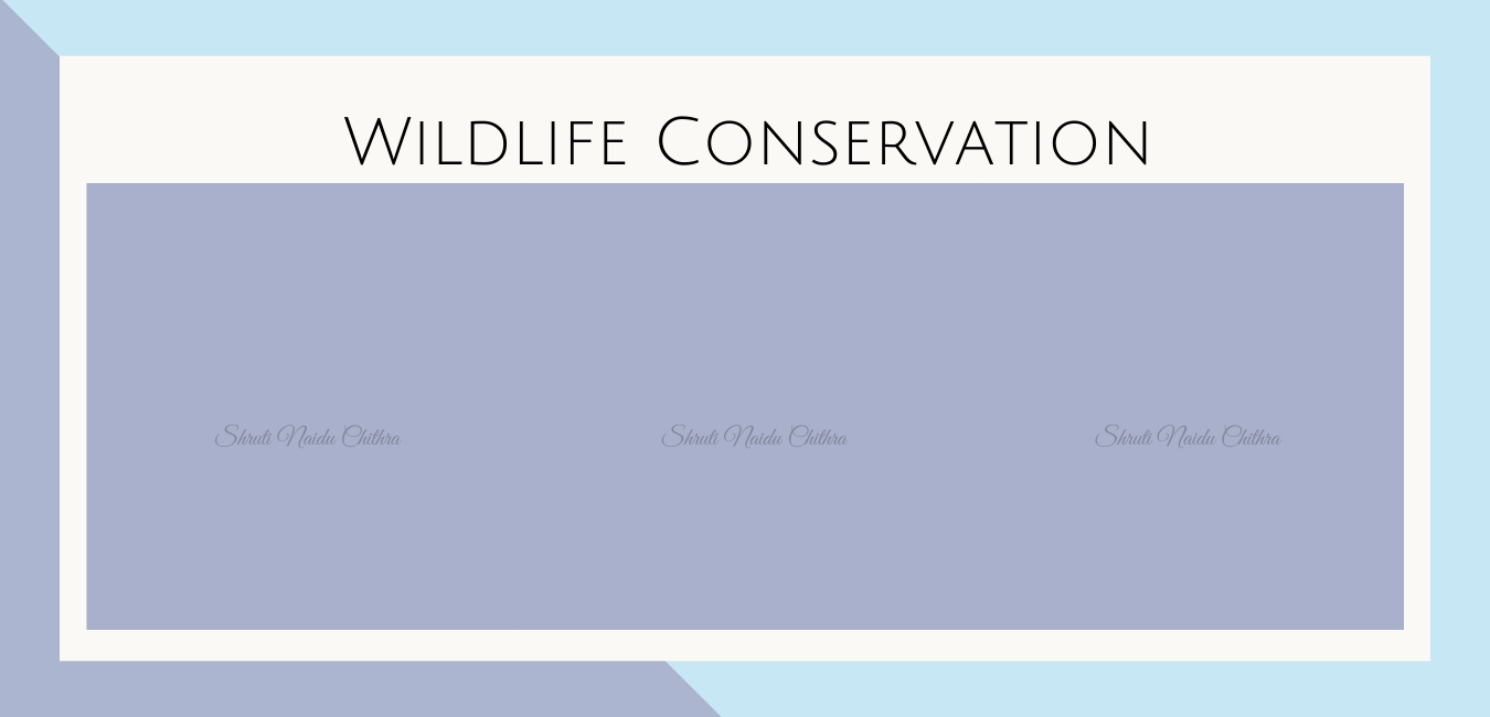 Wildlife Conservation Shruti naidu