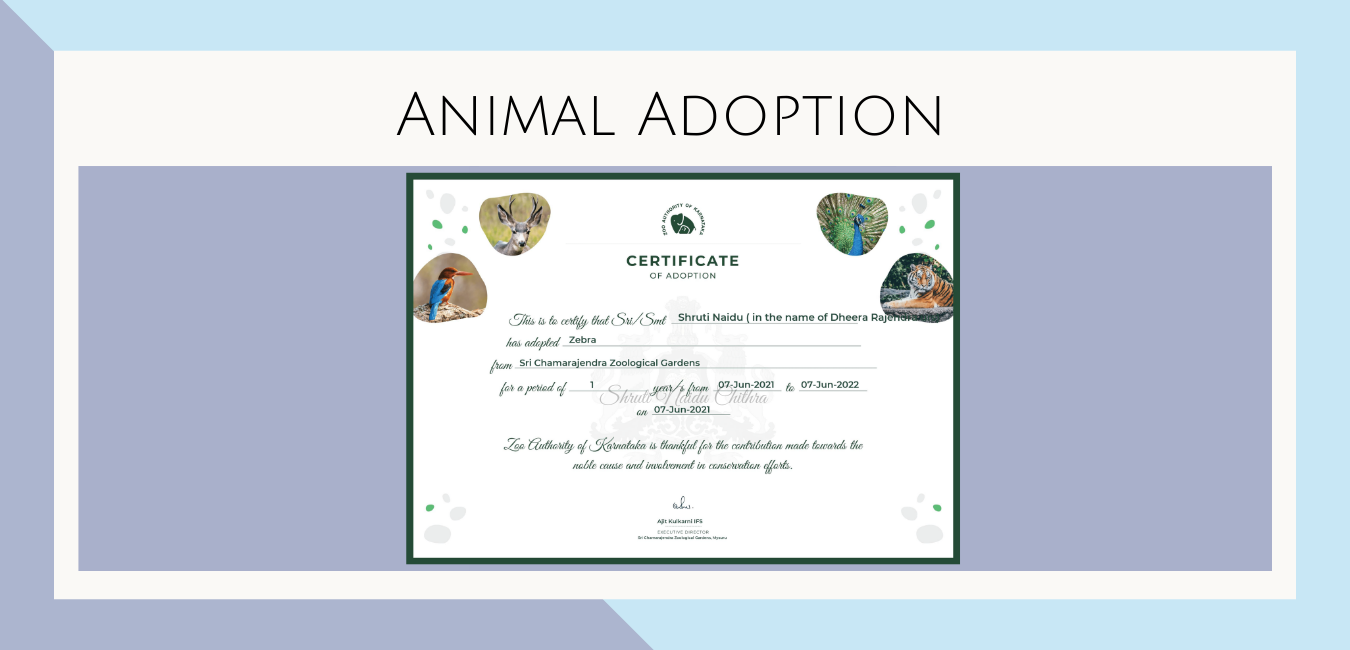 Animal Adoption