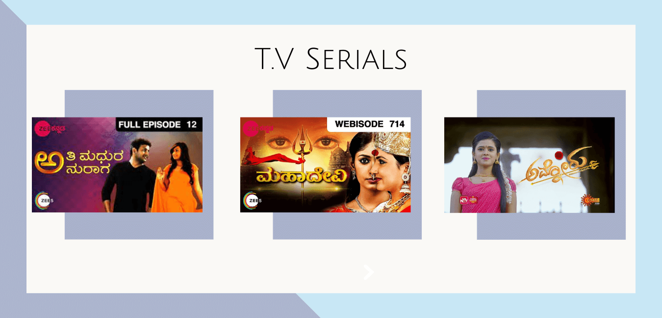Shruti Naidu TV Serials